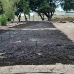 WhatsApp Image 2024-05-23 at 21.52.14