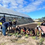 WhatsApp Image 2024-05-26 at 22.20.42 (2)